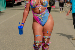 DSC0772