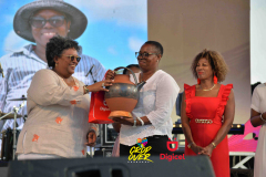 SLD-Cropover-Awards-0006