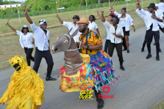 SLD-Cropover-Last-Canes-0232