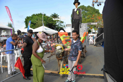 SLD-Cropover-Last-Canes-0340