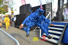 SLD-Cropover-Last-Canes-0372