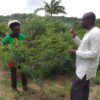 NCF Serving Up New Series On Local Plants